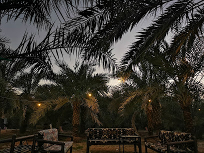 مربط أبناء المحلاوي للفروسيه - Al Madinah Al Munawwarah - +966 56 355 1881