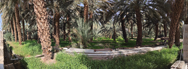 مزرعة تمرة العقيق - Saudi Arabia|42331،|2451 جبله بن عمرو، 8687، بئر عثمان،