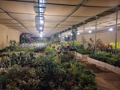 مشتل مهجابين mahjabeen garden center - Riyadh - +966 57 622 9546