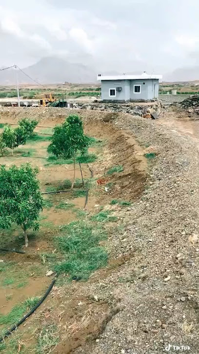 مزرعة سعيد ابراهيم الضموي -