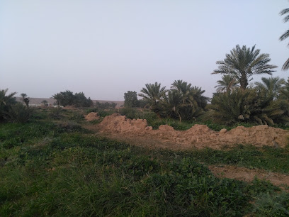 حديقة غسلة بالقرائن للشباب - بالقرائن -