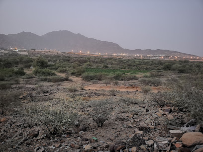 نشرة وراقين - Hadabah Hamra -