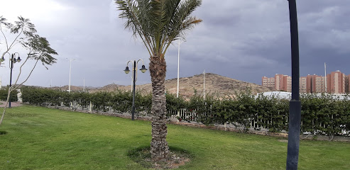 Palm Garden 1 - Taif -
