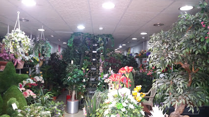 اللوتس الأحمر - Dammam - +966 50 596 6992