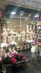 Kayan Al Banafsaj - Al Madinah Al Munawwarah - +966 59 397 5677